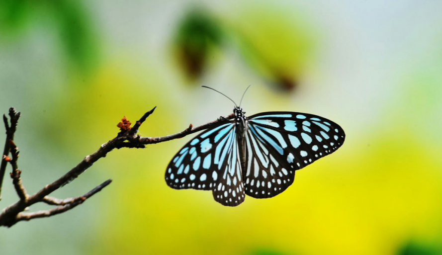 2017-12-17 20.08.54.jpg