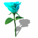blue_flower_rotate_animation.GIF