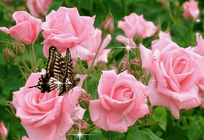 hinh-anh-dong-chuc-mung-valentine-tuyet-dep-nam-2016-hinh-anh-8.gif