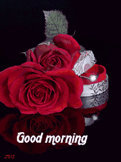 image.gif