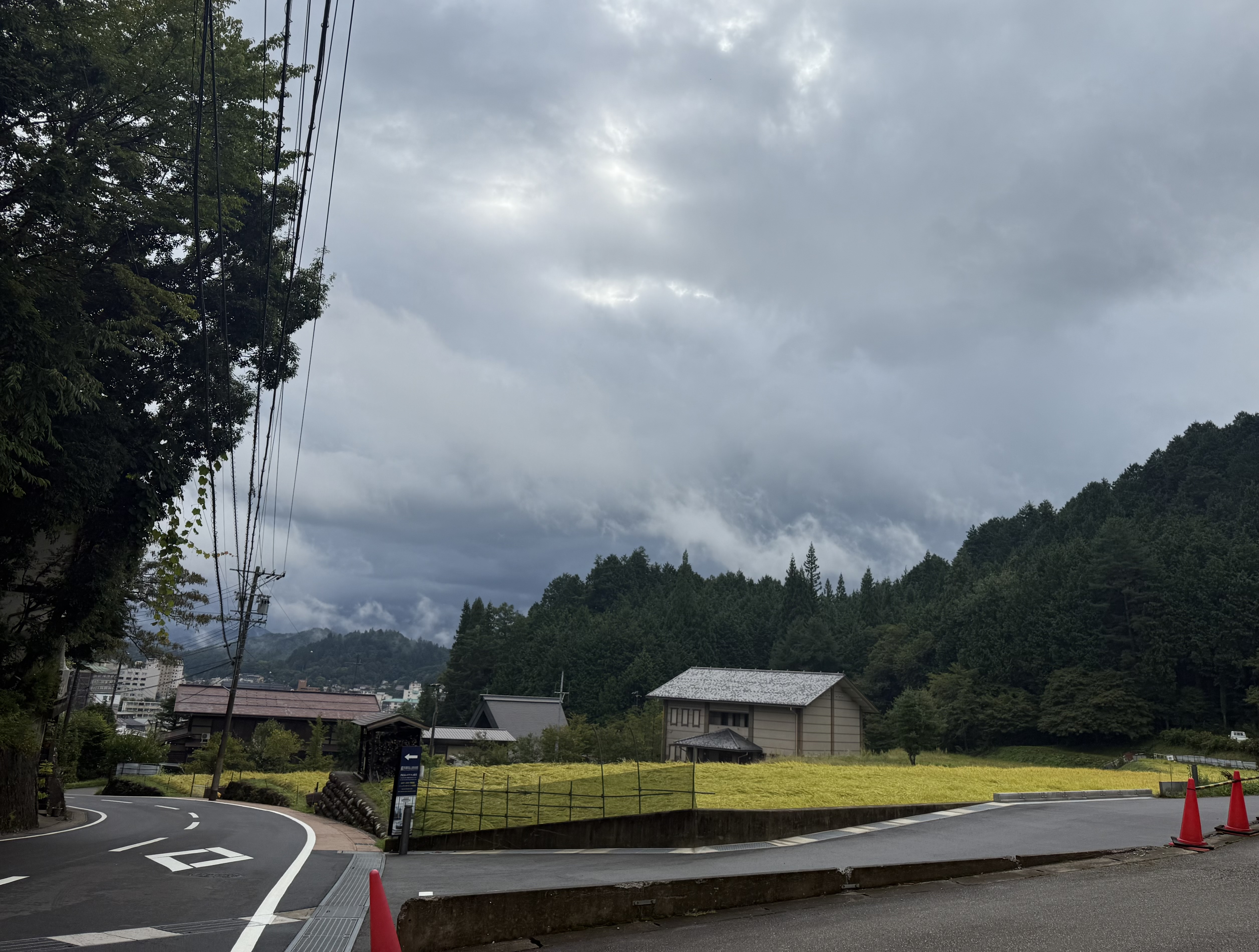 IMG_0481.jpeg