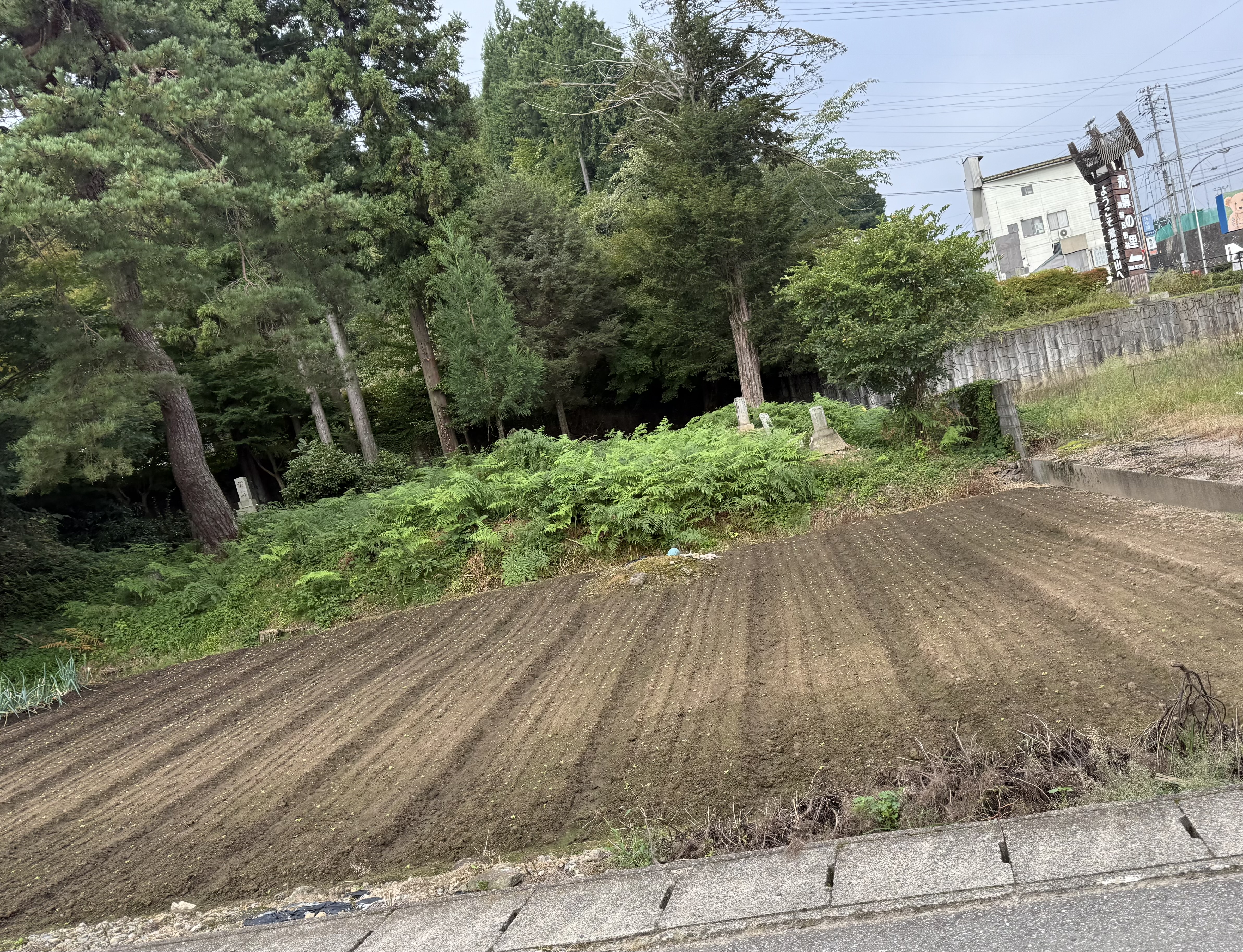 IMG_0904.jpeg