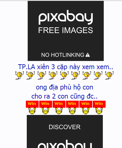 loi.png