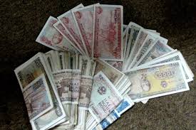 tải xuống (7).jpeg