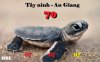 bing_best-009.jpg