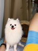 IMG_1685.jpeg