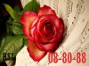 z197_20101208_1158577125.jpg