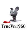 trucvn1960