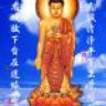 amitabha135