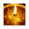 DiTim1Anso