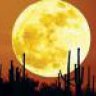 honeymoon