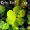 xaroituday