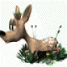 §Thiên▼Địa▼Vô▼Cực§